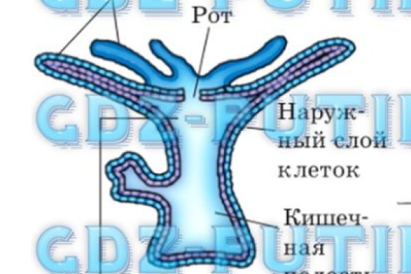 Почему не работает кракен