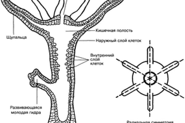 Кракен ссылки онлайн