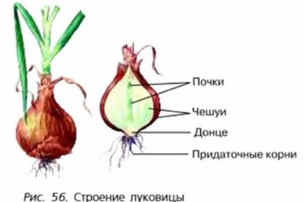 Кракен 2kraken biz